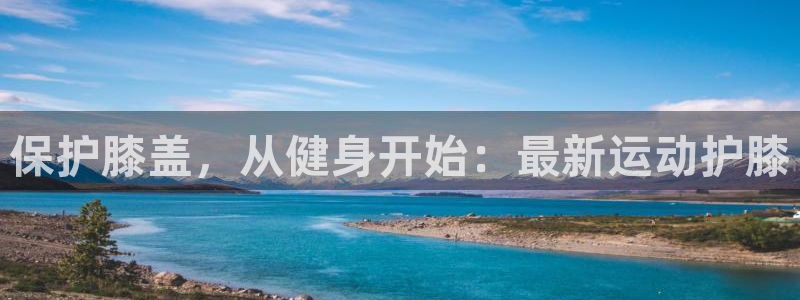飞速体育老佳
