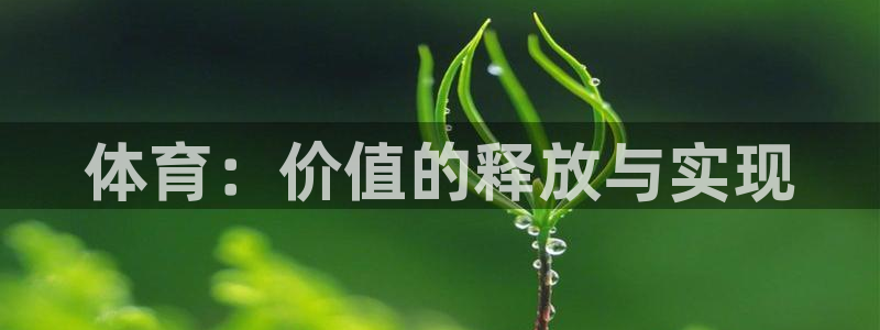 飞速体育官网：体育：价值的释放与实现