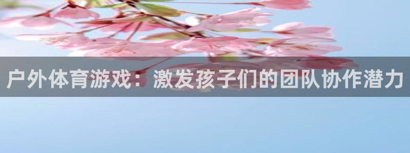 飞速体育官网：户外体育游戏：激发孩子们的团队协作潜力