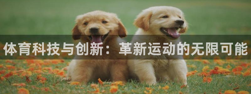 飞速体育NBA：体育科技与创新：革新运动的无限可能
