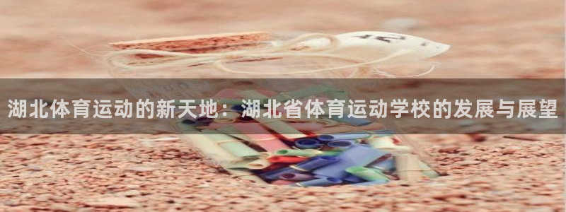 飞速体育NBA直播在线：湖北体育运动的新天地：湖北省体育运动学校的发展与展望