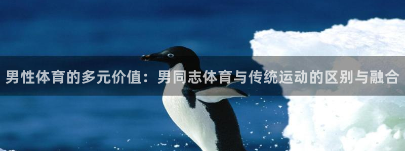 飞速体育网店：男性体育的多元价值：男同志体育与传统运动的区别与融合