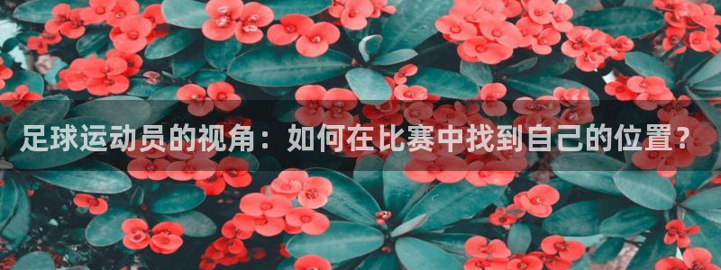 飞速体育下载app：足球运动员的视角：如何在比赛中找到自己的位置？