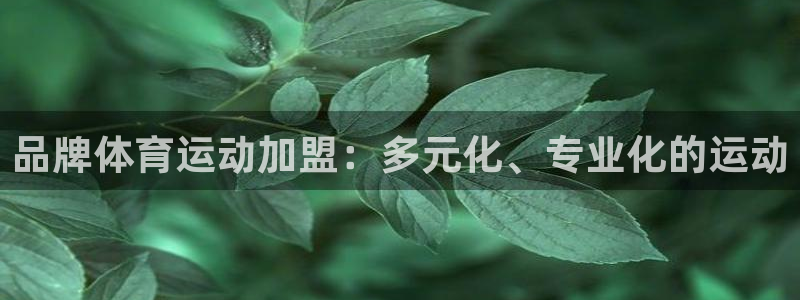 飞速体育黑化方块：品牌体育运动加盟：多元化、专业化的运动
