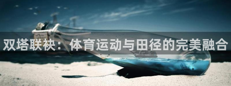 飞速体育app：双塔联袂：体育运动与田径的完美融合