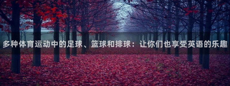 飞速体育官网：多种体育运动中的足球、篮球和排球：让你们也享受英语的乐趣